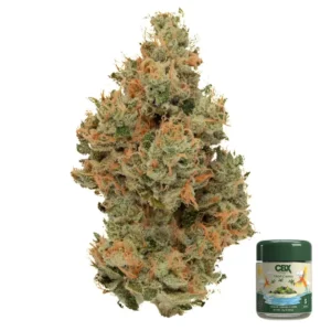Tropicana | CBX | Sativa