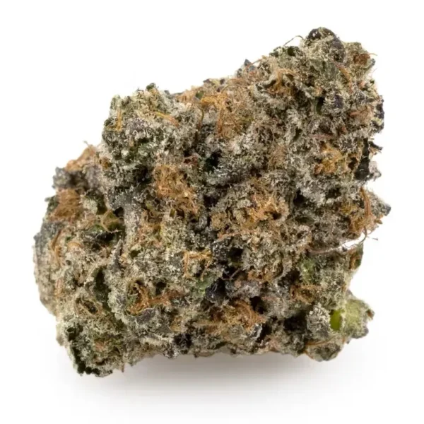Blue Biscotti | Indica
