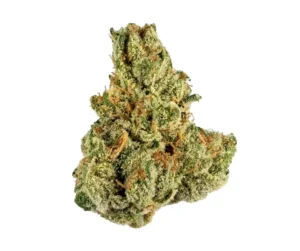 Amnesia Haze | Sativa