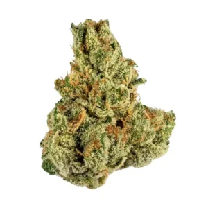 Amnesia Haze | Sativa