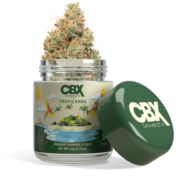 Tropicana | CBX | Sativa - Image 4